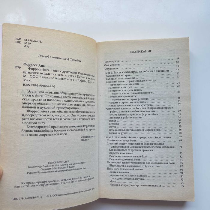 Форрест-йога: танец с драконами. Практики исцеления тела и духа. Сила