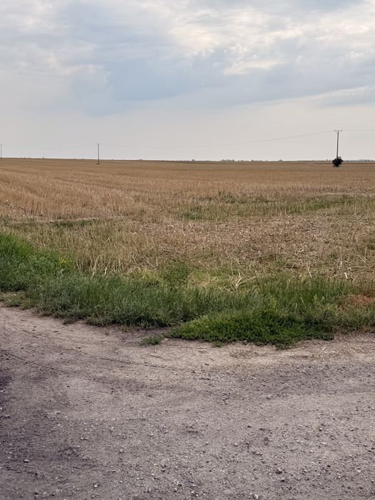 Działka budowlana  z potencjałem \ MPZP\ blisko lasu \ cicha okolica \ Niemil \ Oława