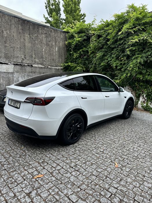 Tesla Model Y Standard