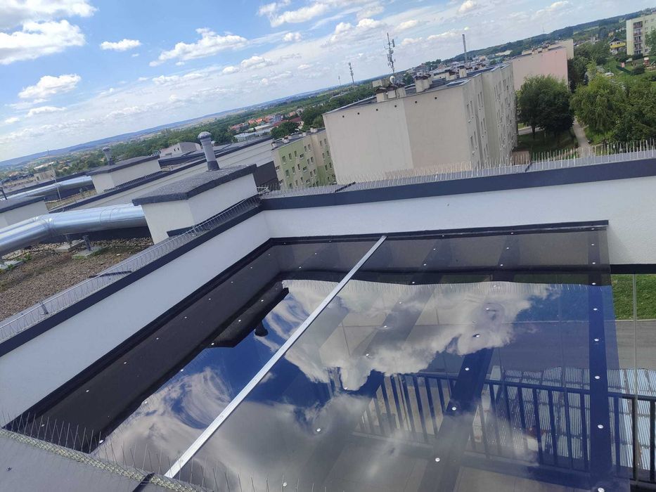 Poliwęglan LITY 5 mm i 6 mm Dostępne 4 kolory