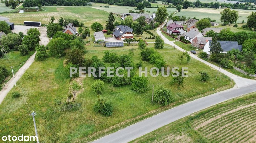 Działka budowlana 1025 m² w gm. Kwilcz - Widok 2