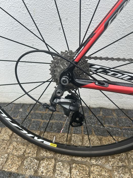 Coluer Invicta Carbon