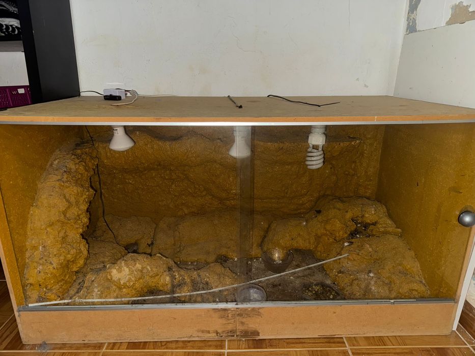 Terrario para repteis