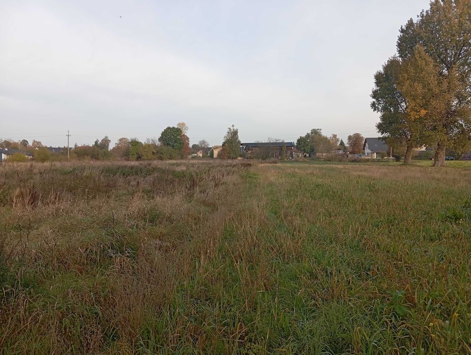 Działka budowlana Cieplewo (Pruszcz Gdański) - Widok 4