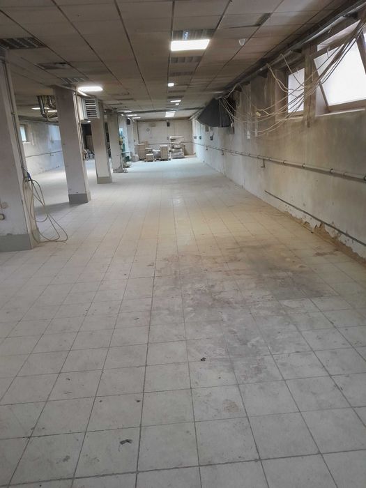 Hala Usługowa po Stolarni 400m2