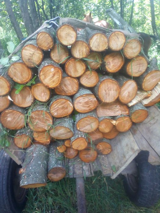 Продам Дрова береза ,вільха,осика