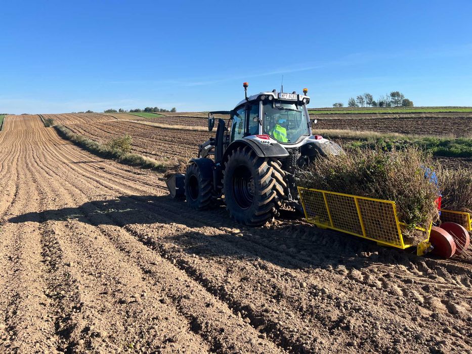 Sadzenie porzeczek, aronii, drzewek - GPS RTK 1cm -usługa, CAŁA POLSKA