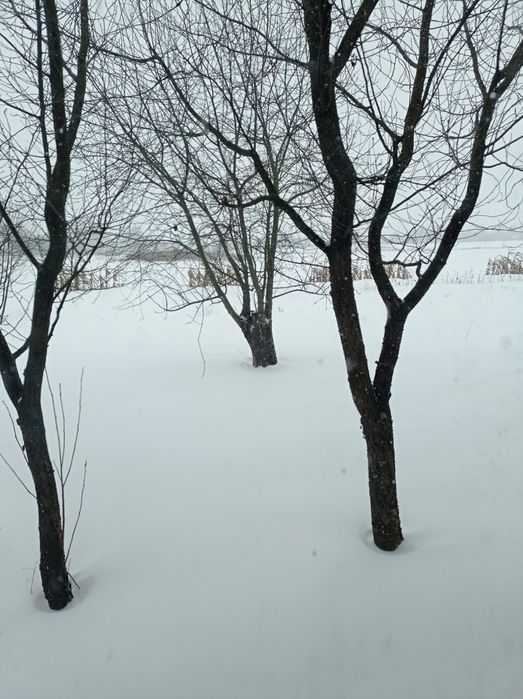 Будинок в с Олишівка. Каналізація. Є-ВІДНОВЛЕННЯ.