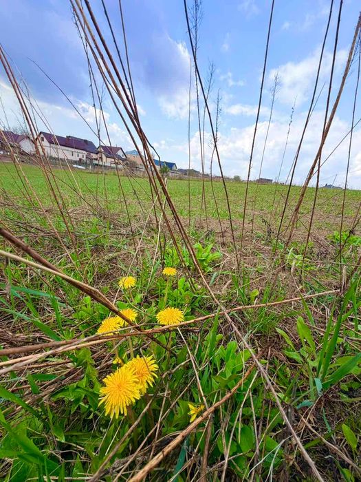 Продам ЗД у Білій Криниці, права сторона