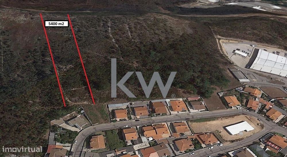 Terreno florestal com 3 plataformas na sua extensão longitudinal, Muro