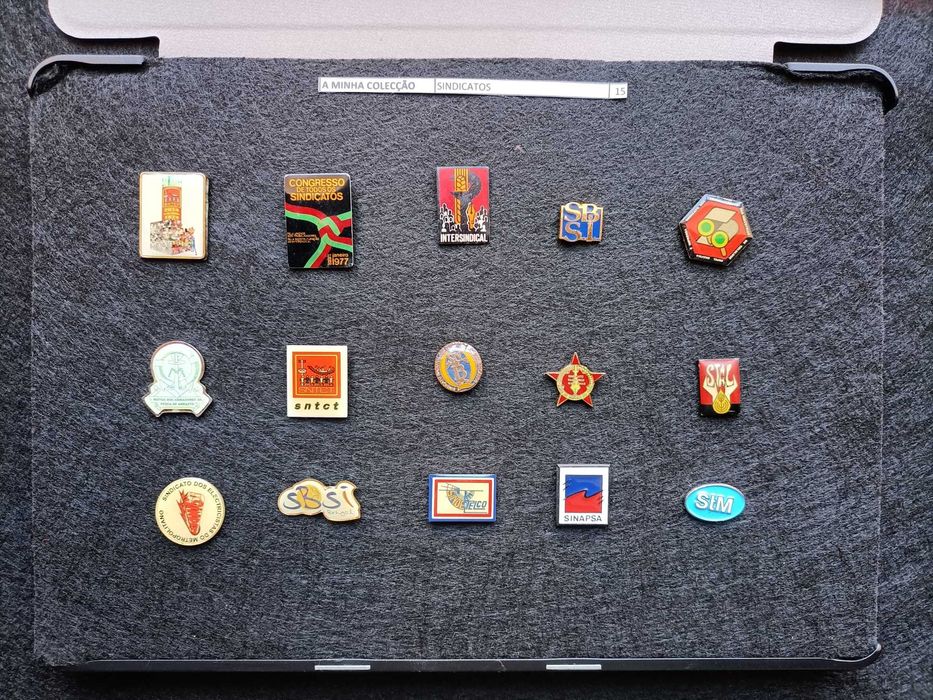 PINS A Minha Colecção de Pins temáticos 5