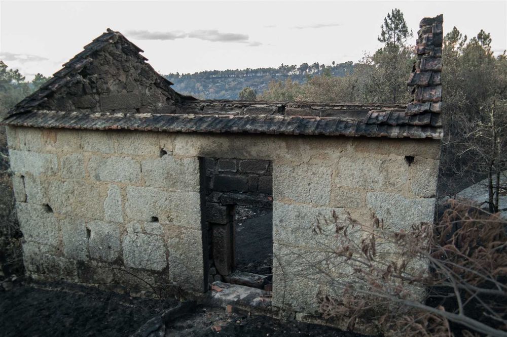 Quinta com ruina para recuperar! 1.3hec farm with granit house (ruin) Offgrid (Oliveira do Hospital)