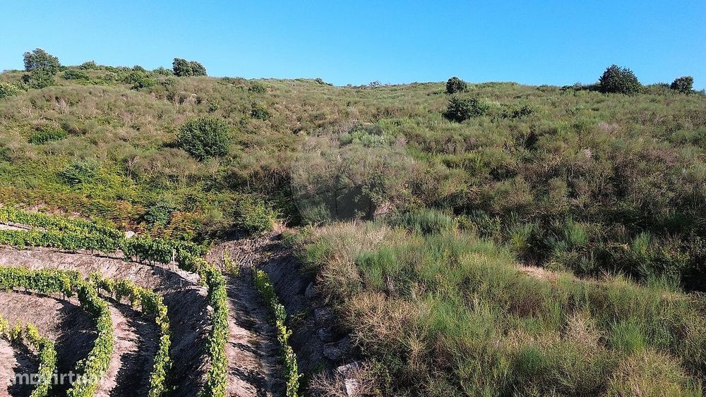 Quinta  para venda