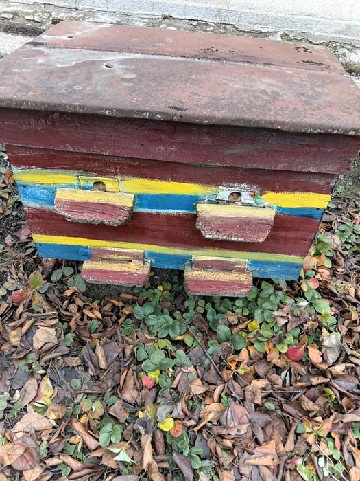 Продам вулики лежаки