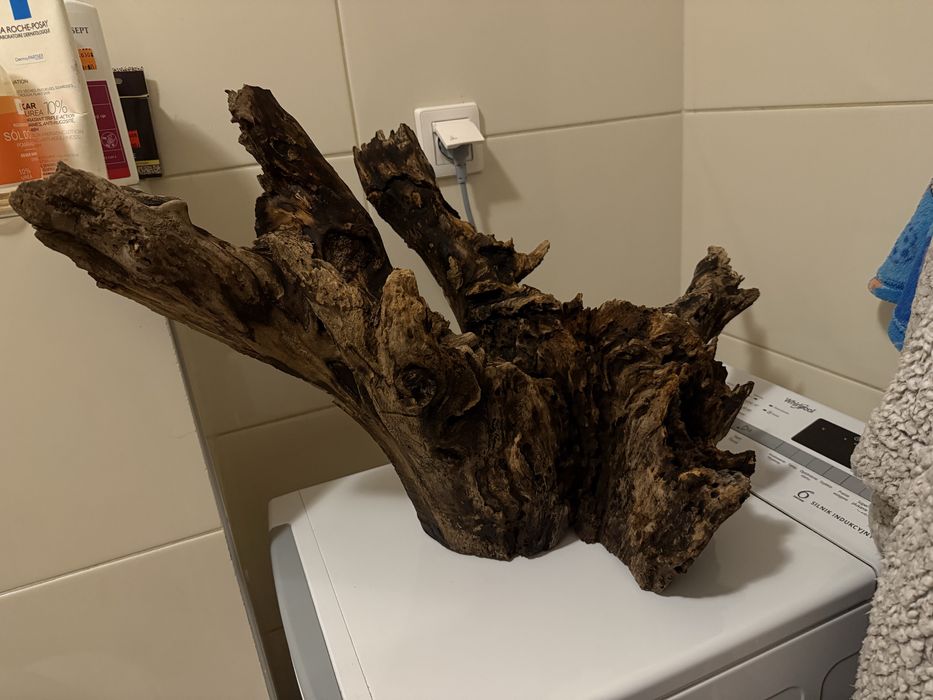 Korzen do terarium/akwarium