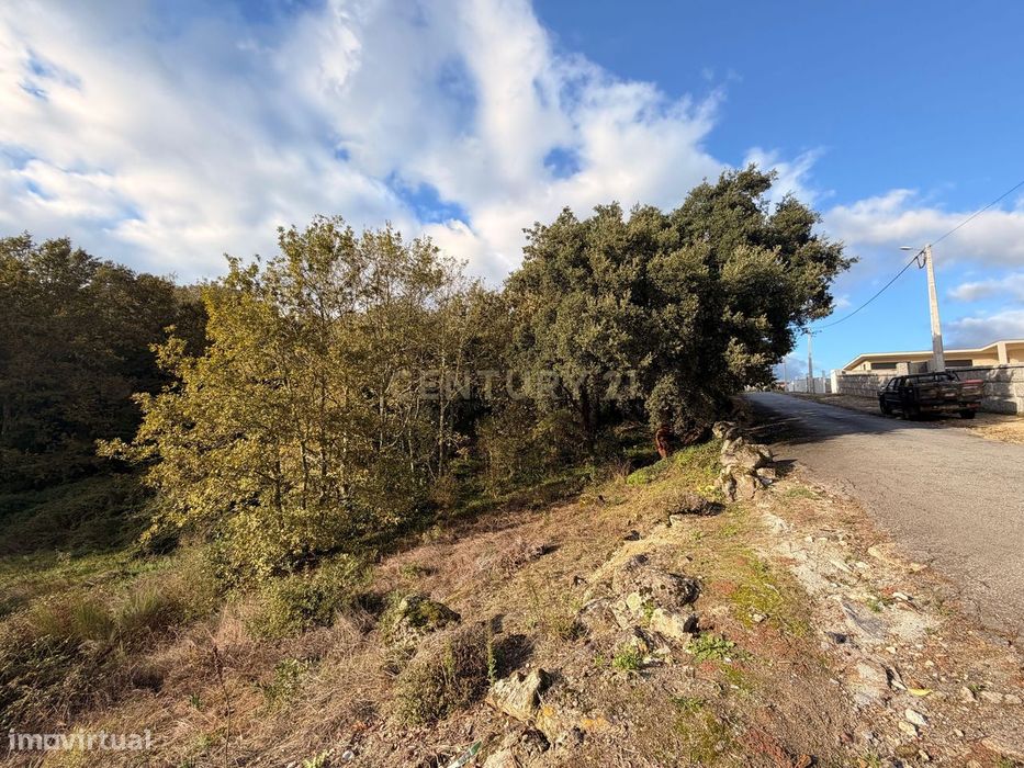 Terreno com 2,65hectares com potencial de construção em Abragão, Penaf