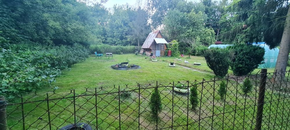 Do wynajęcia piękna  działka  rekreacyjna.