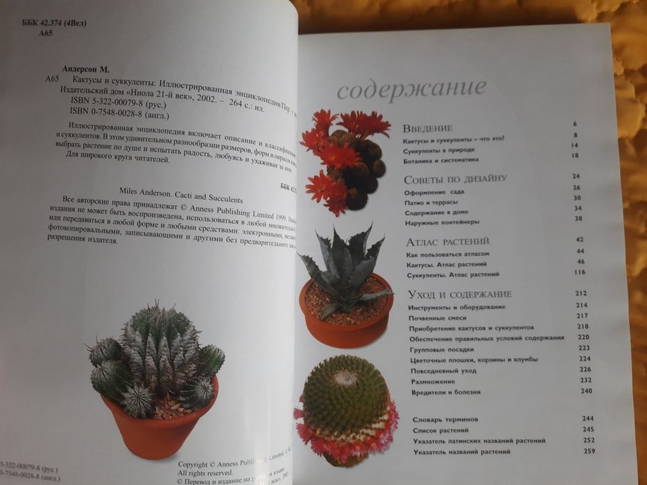 Кактусы и суккуленты Майлс Андерсон