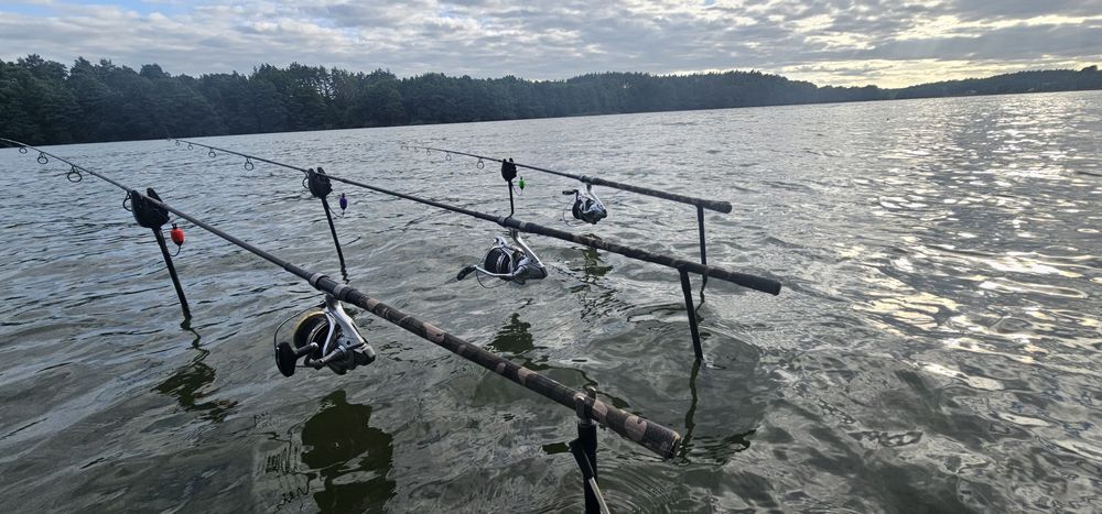 Fox explorer 10ft 3lb