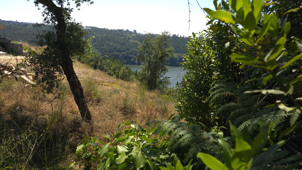 Lote de terreno 2500+ m2, margens do rio Douro, perto do Porto