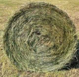 Siano,  Słoma  bele baloty 150x120, 120x120
