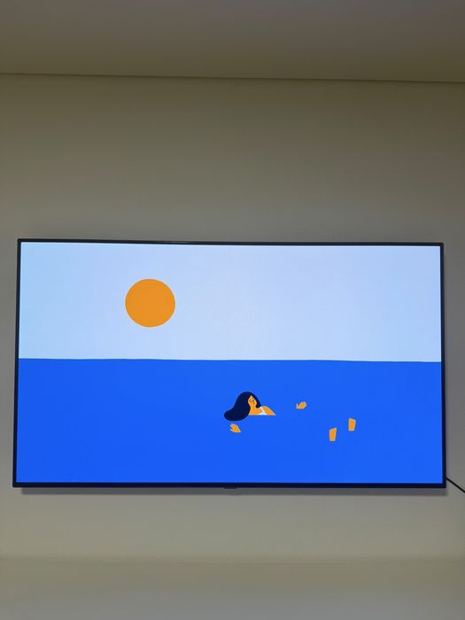 LG OLED 48’ 120hz