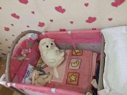 Cama Berço de viagem ( como novo)