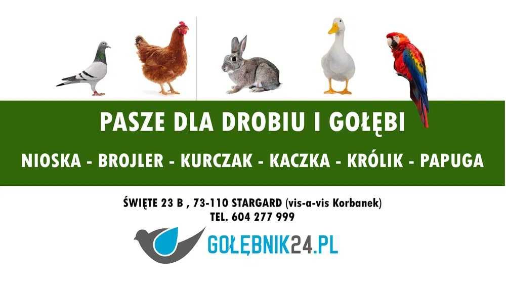 DHP Cultura Excellent Blend grit dla gołębi - Hurtownia Pasz ŚWIĘTE