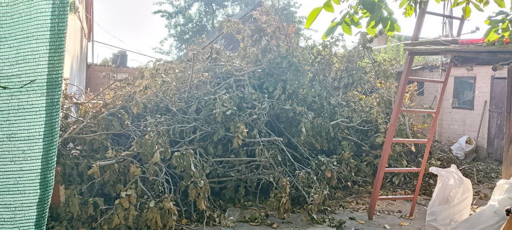 Отдам даром Отдам даром Отдам