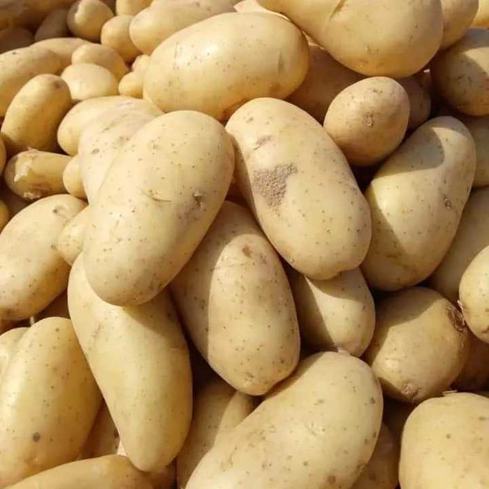Batatas de qualidade