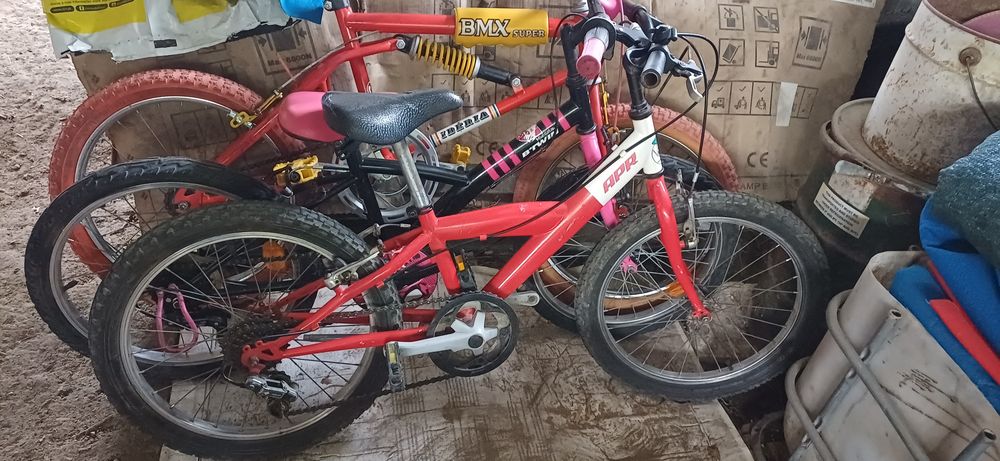 Várias bicicletas criança