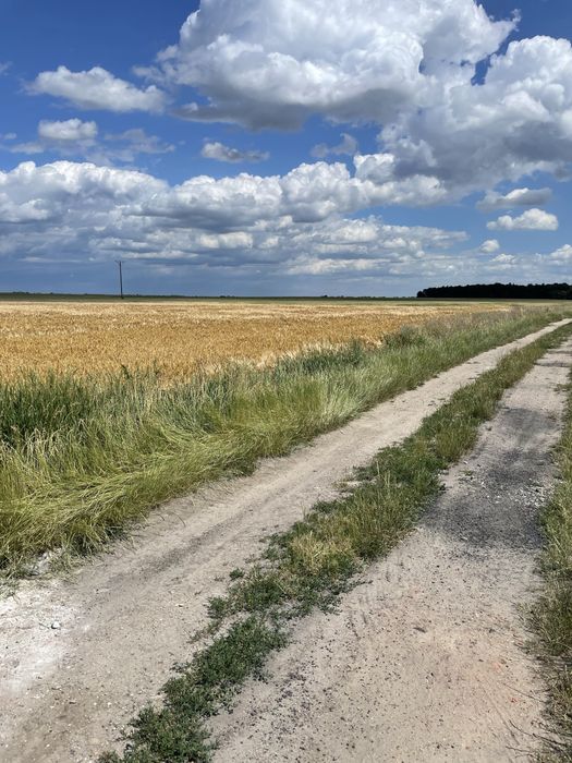 Dzialka budowlana w Niemilu na uboczu cicha okolica
