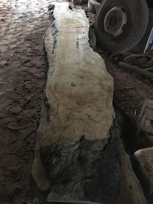 Prancha em madeira de sobreiro.