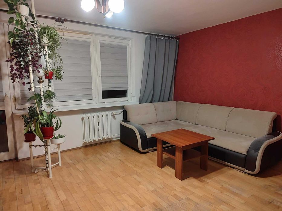 Mieszkanie 56m2 wynajmę
