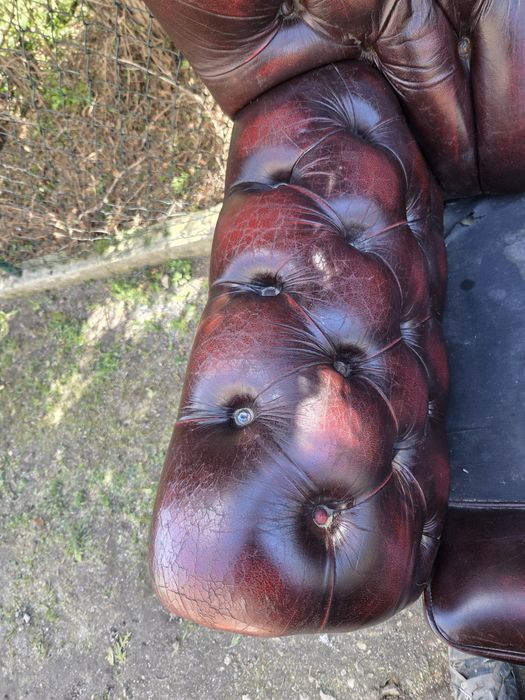 Fotel Chesterfield do renowacji