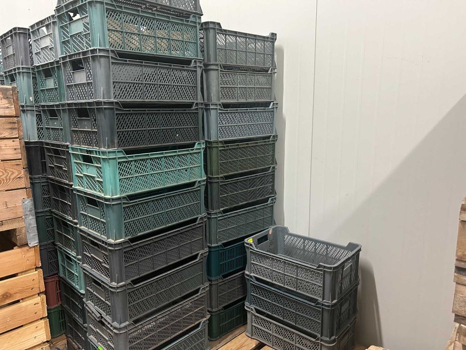 Skrzynki uniwersalne plastikowe 15 kg.