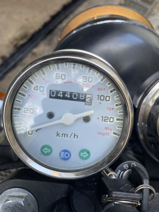 Mash black seven 125