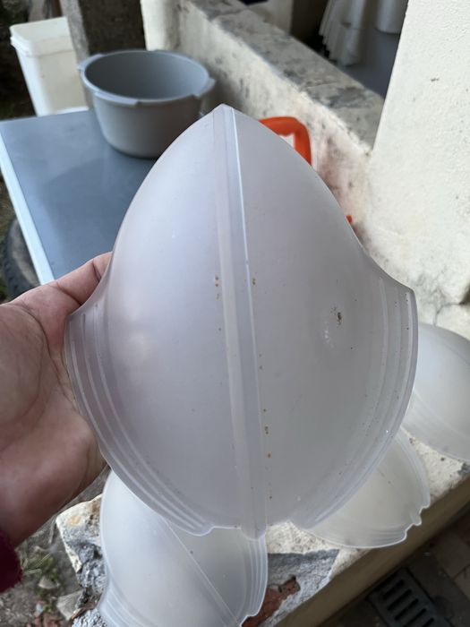 Vidro Fosco em Concha