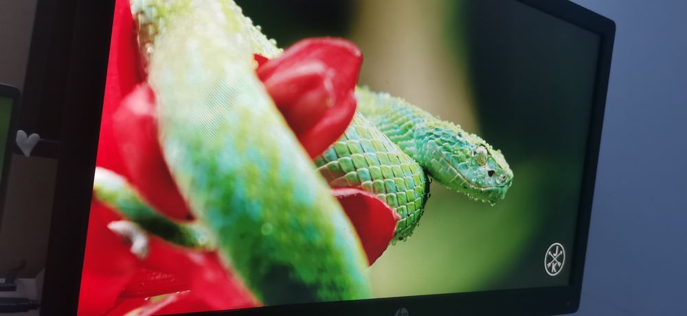 HP Elite display e222 monitor