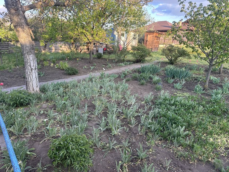 Продаж житлового будинку