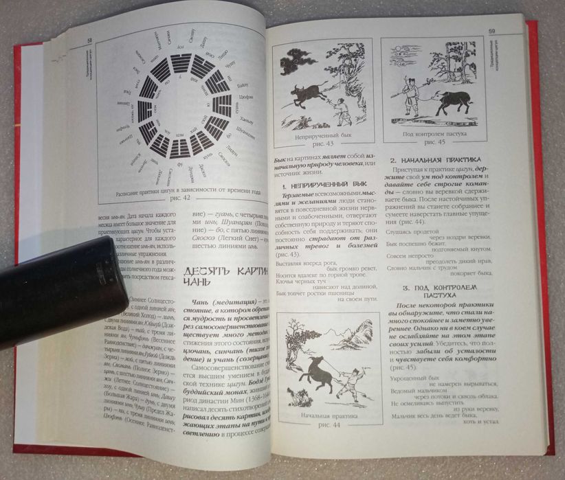 Цигун: гимнастика, философия, комплекс полного оздоровления. Гуандэ У