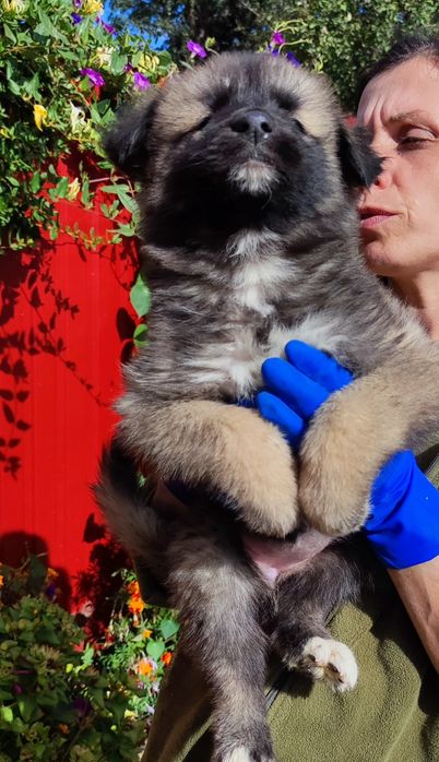 Дівчинка та хлопчик- щеплення пройдено