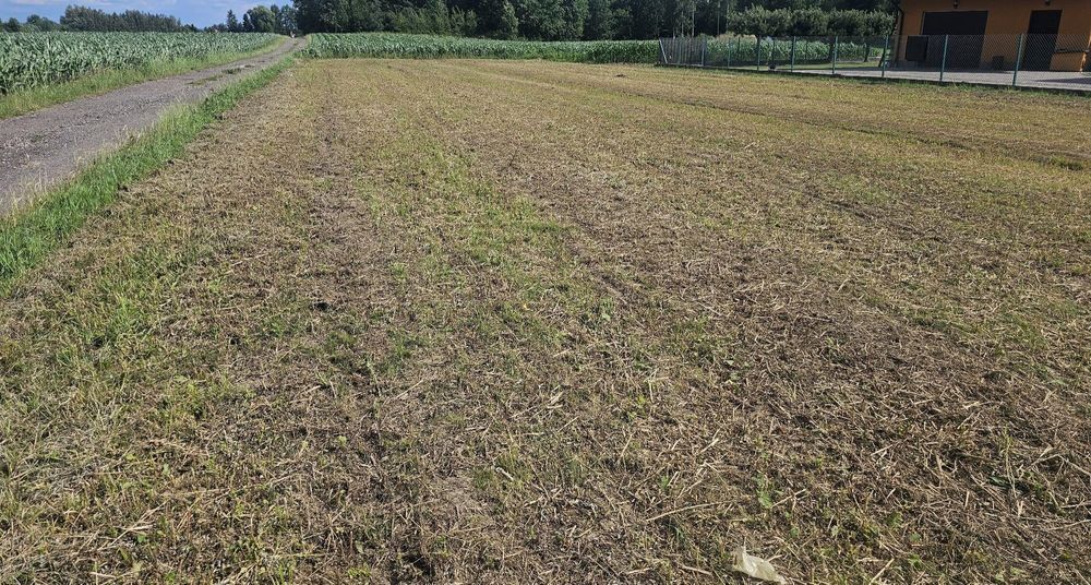 Płaska działka 17,3 ara | Zjazd, Media, Prąd na działce | Spytkowice - Widok 4