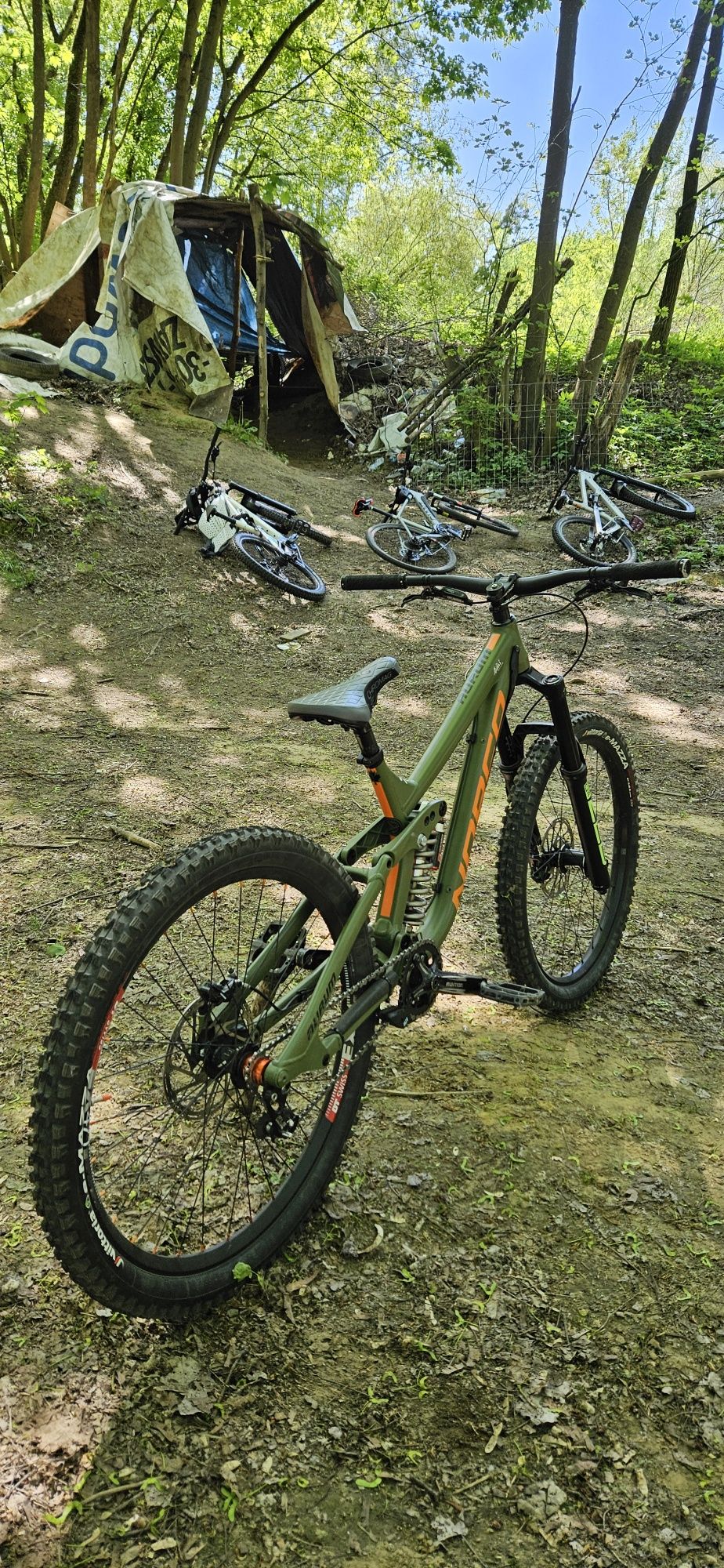 Norco aurum a1 2019 new arrivals