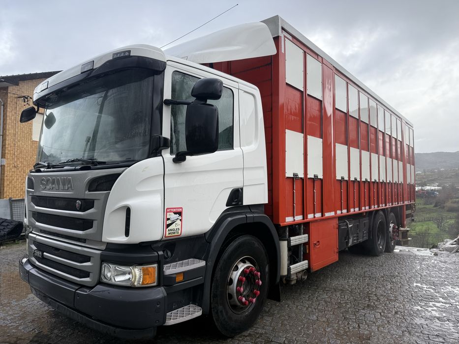 Scania P360 transporte gado