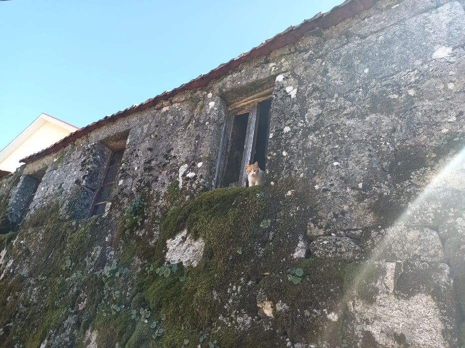 Vendo casa  para  reconstrução