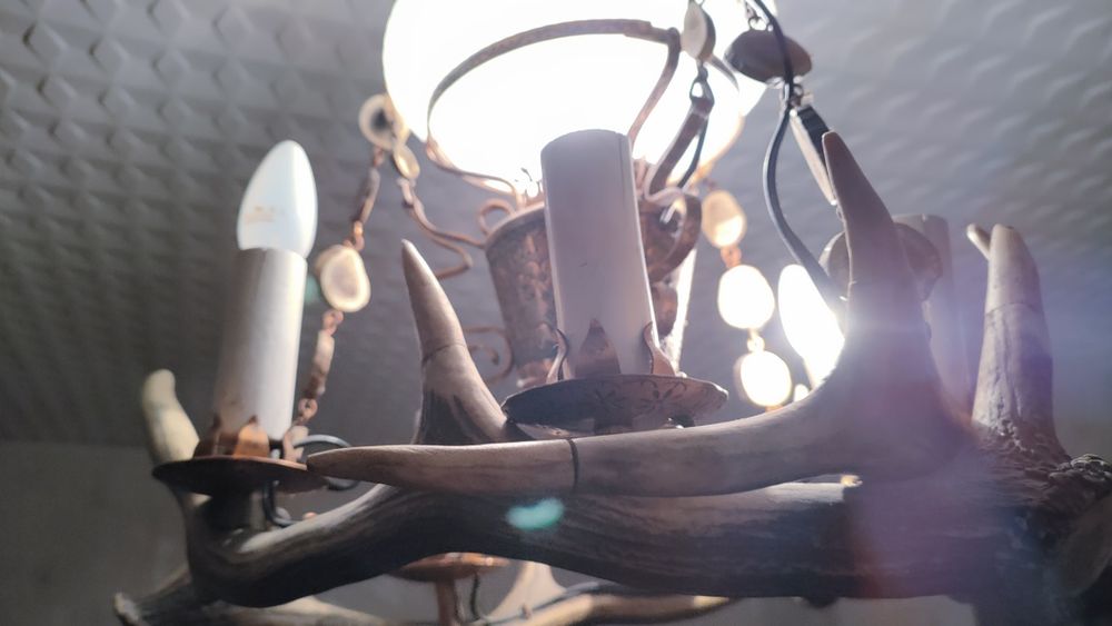 Żyrandol z poroża jelenia. Piękny zabytek