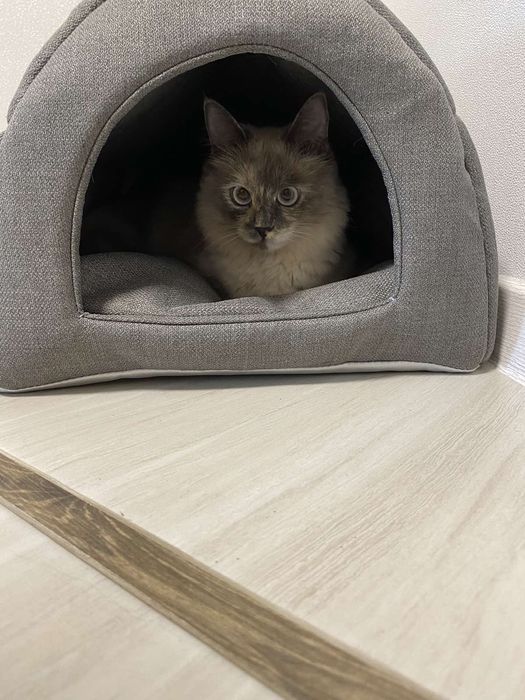 Будиночок  для котиків і собачок!