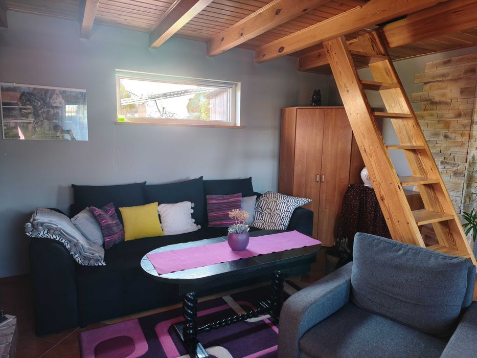 Działka rekreacyjna ROD Gorzycko koło Międzychodu