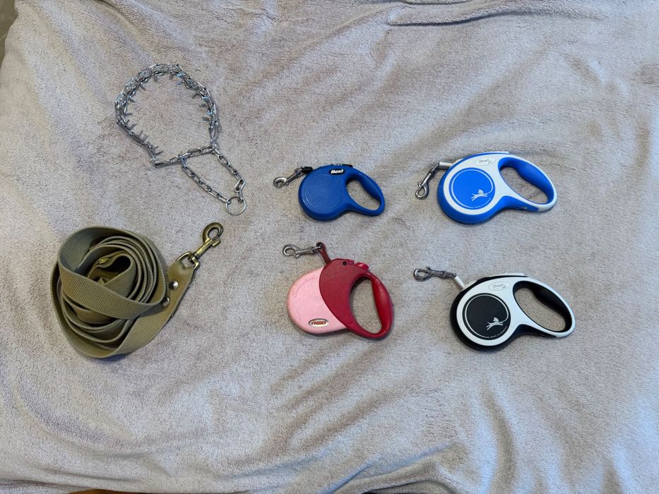 Повідець для собак